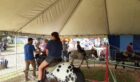 Youth riding on Pony